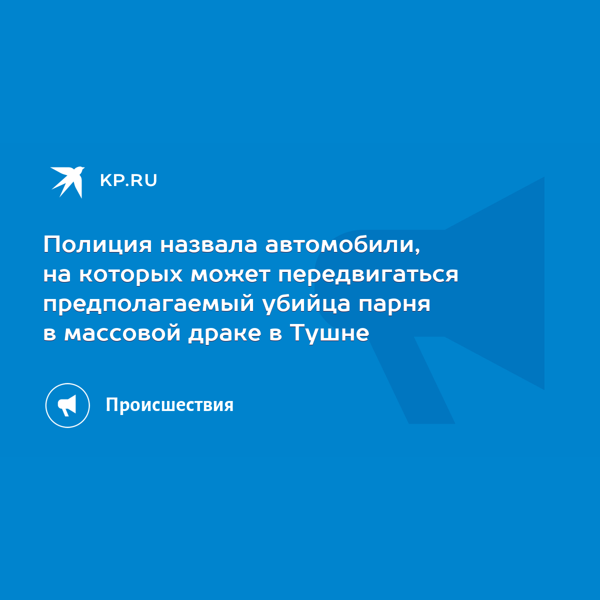 Полиция назвала автомобили, на которых может передвигаться предполагаемый  убийца парня в массовой драке в Тушне - KP.RU