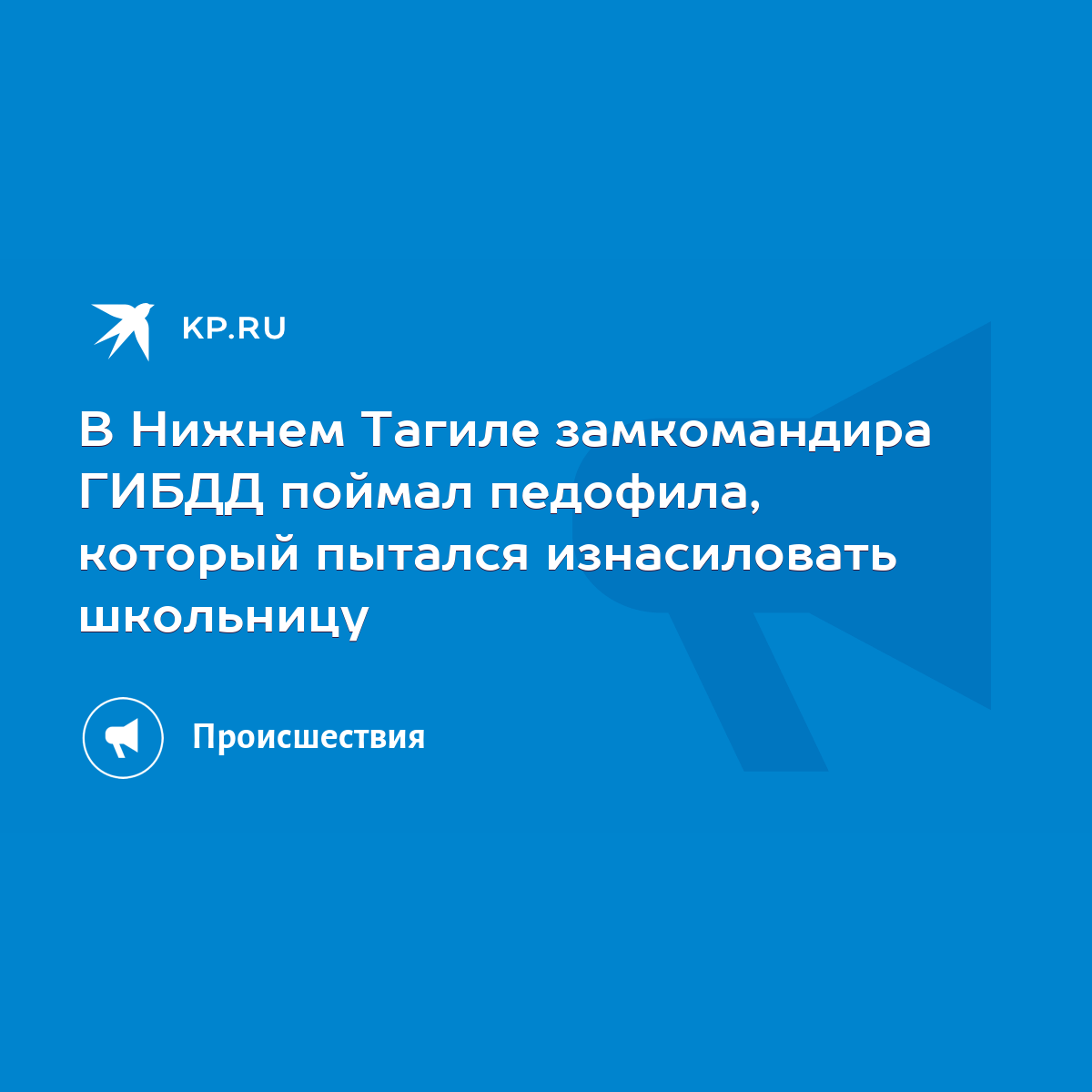 В Нижнем Тагиле замкомандира ГИБДД поймал педофила, который пытался  изнасиловать школьницу - KP.RU