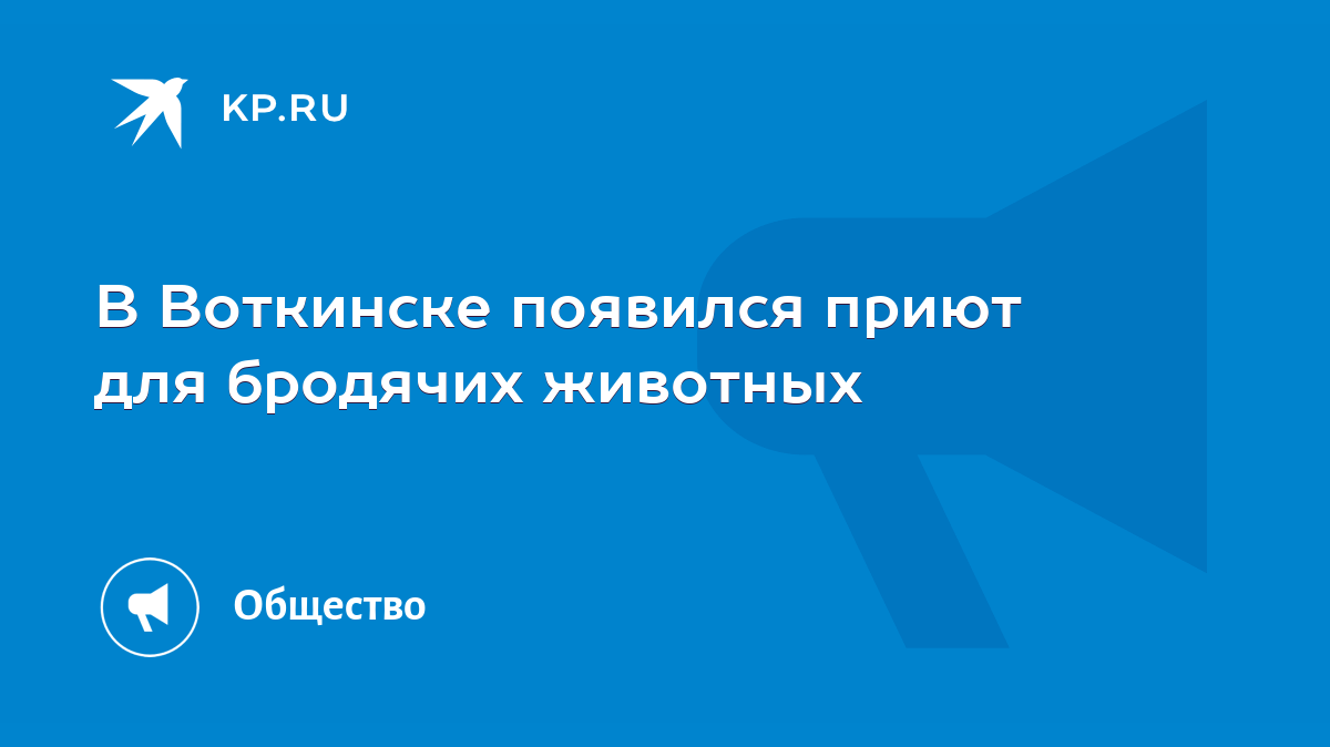 В Воткинске появился приют для бродячих животных - KP.RU