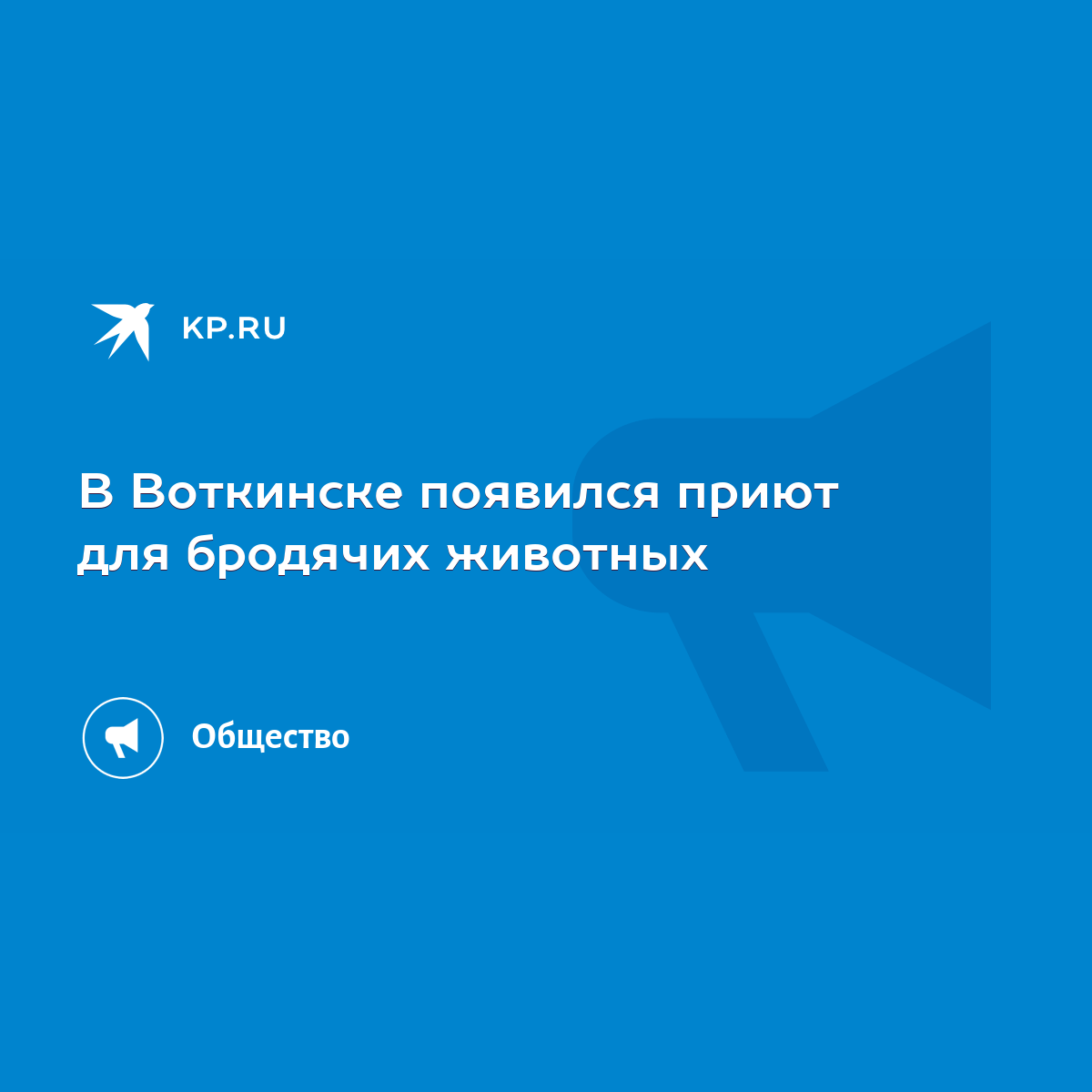 В Воткинске появился приют для бродячих животных - KP.RU