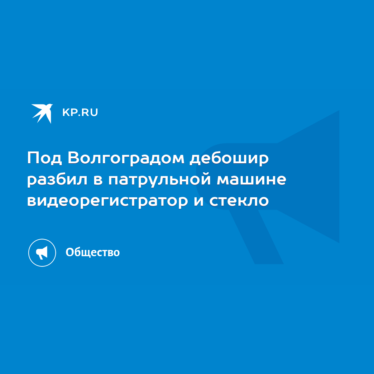 Под Волгоградом дебошир разбил в патрульной машине видеорегистратор и  стекло - KP.RU