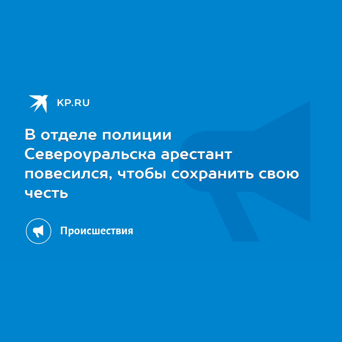 В отделе полиции Североуральска арестант повесился, чтобы сохранить свою  честь - KP.RU