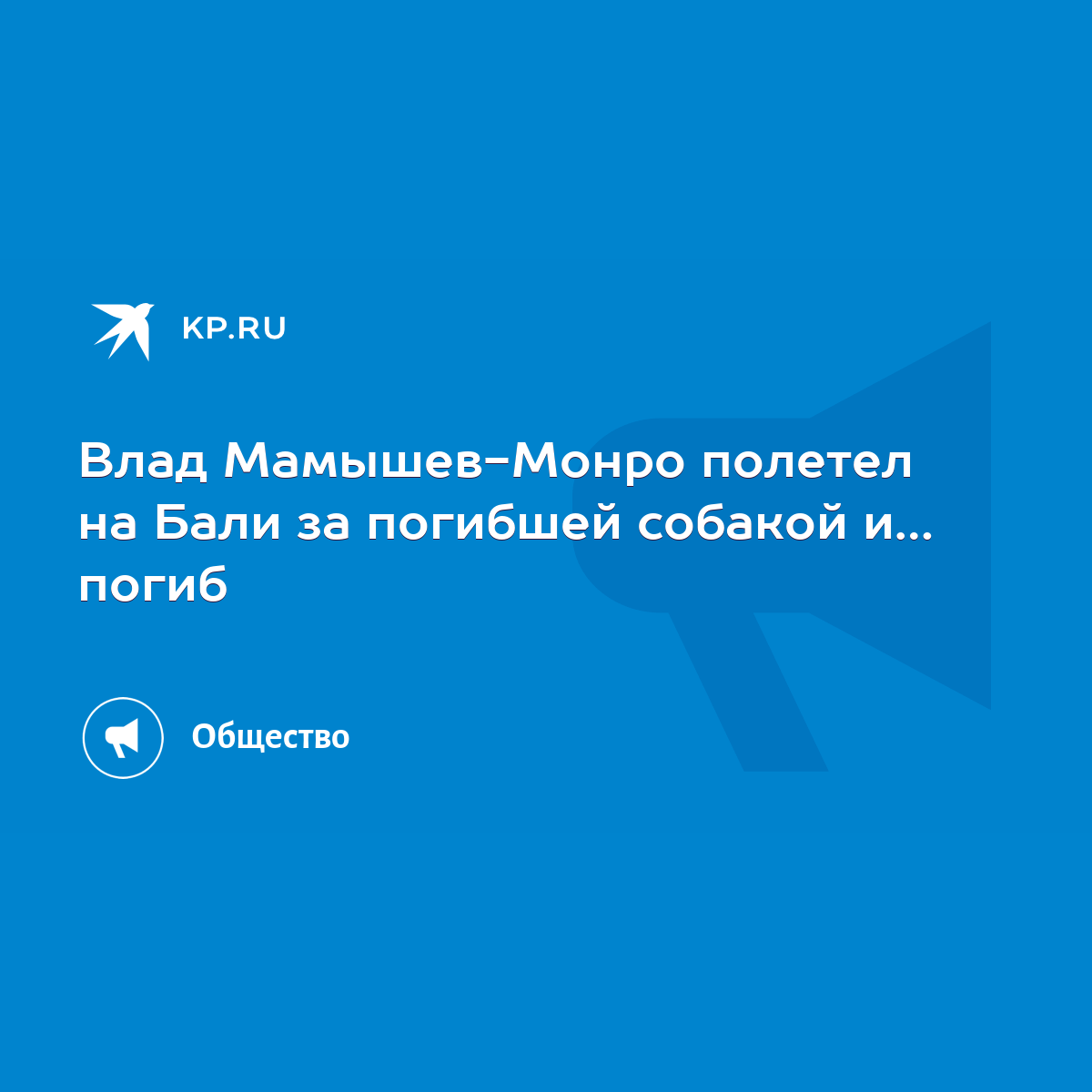 Влад Мамышев-Монро полетел на Бали за погибшей собакой и… погиб - KP.RU