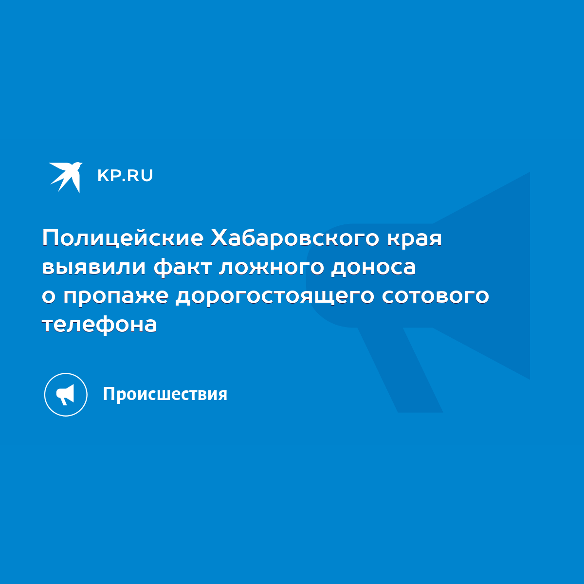 Полицейские Хабаровского края выявили факт ложного доноса о пропаже  дорогостоящего сотового телефона - KP.RU