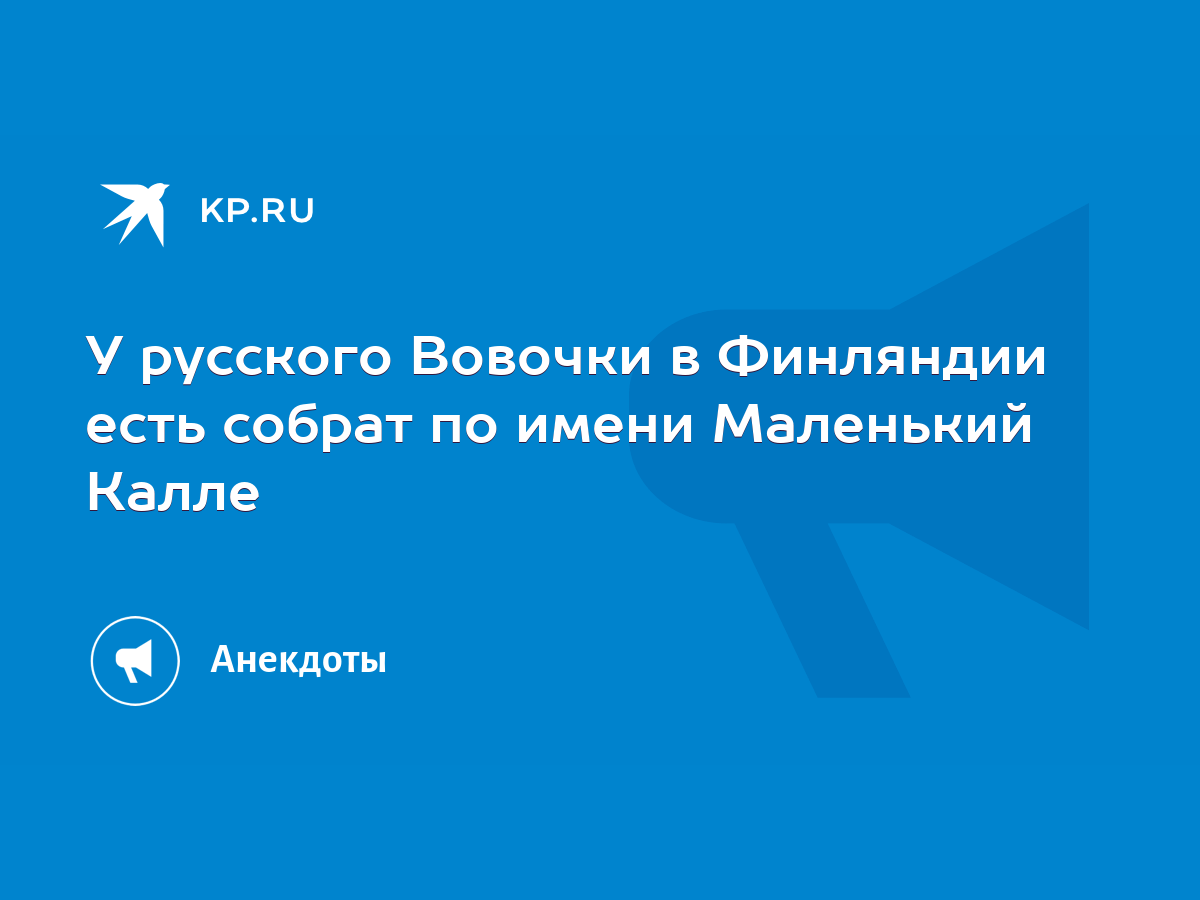 У русского Вовочки в Финляндии есть собрат по имени Маленький Калле - KP.RU