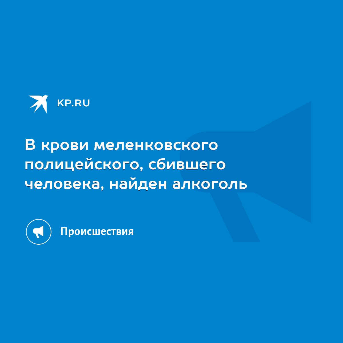 В крови меленковского полицейского, сбившего человека, найден алкоголь -  KP.RU