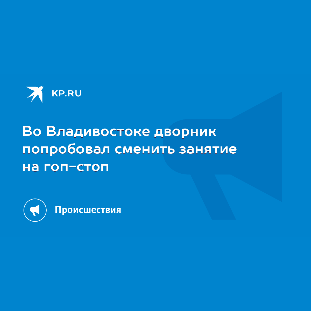 Во Владивостоке дворник попробовал сменить занятие на гоп-стоп - KP.RU