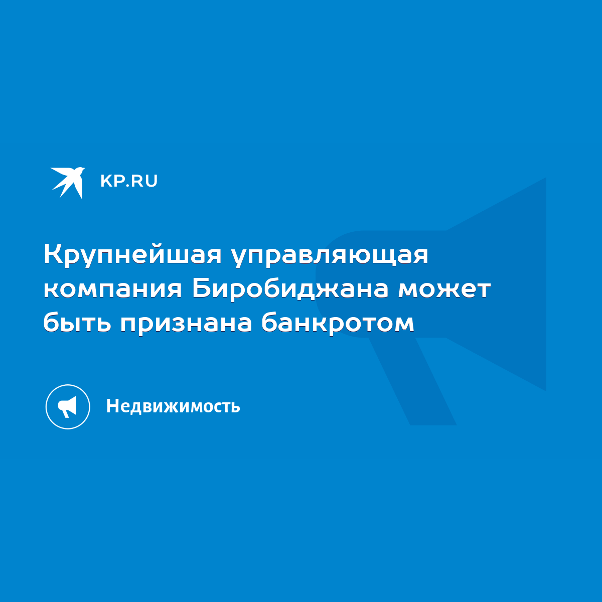 Крупнейшая управляющая компания Биробиджана может быть признана банкротом -  KP.RU