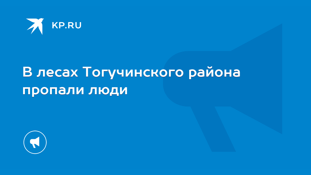 В лесах Тогучинского района пропали люди - KP.RU