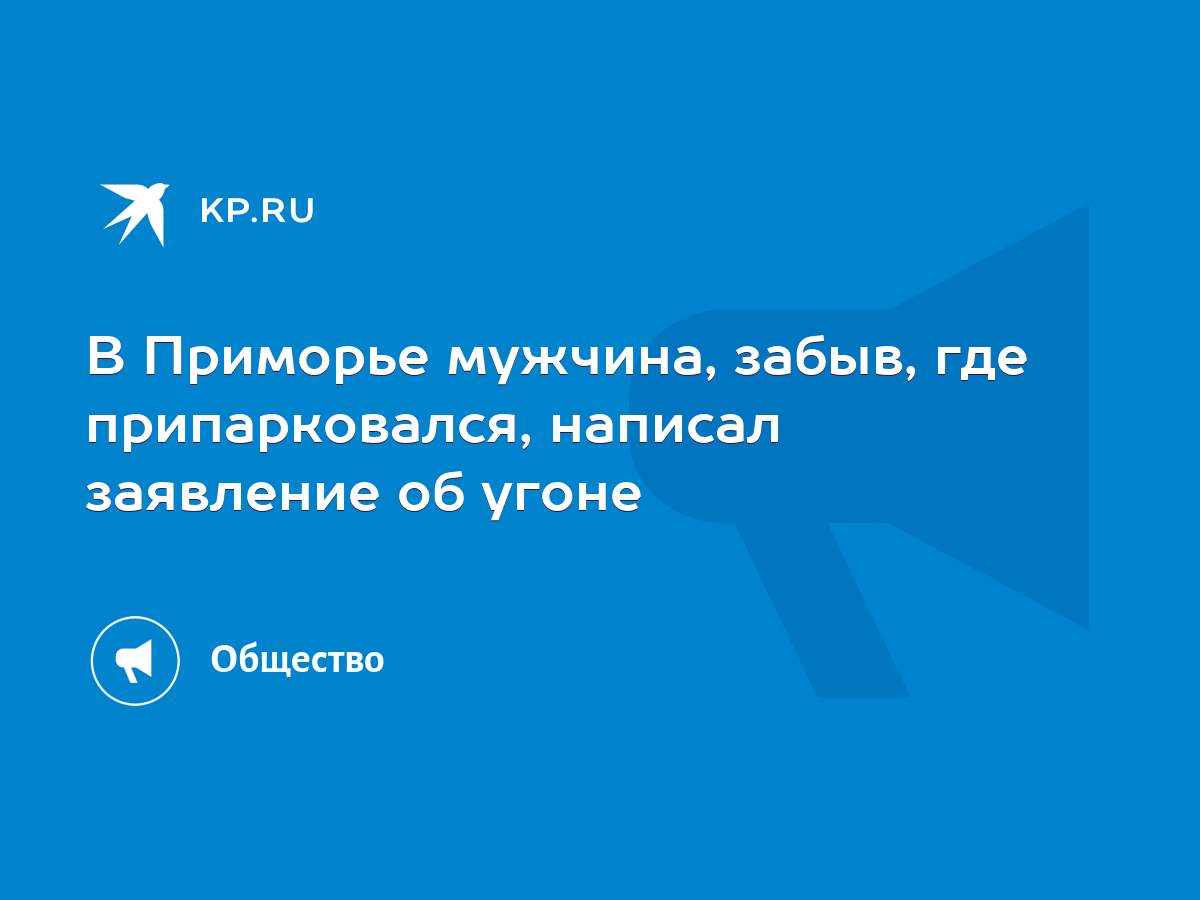 В Приморье мужчина, забыв, где припарковался, написал заявление об угоне -  KP.RU