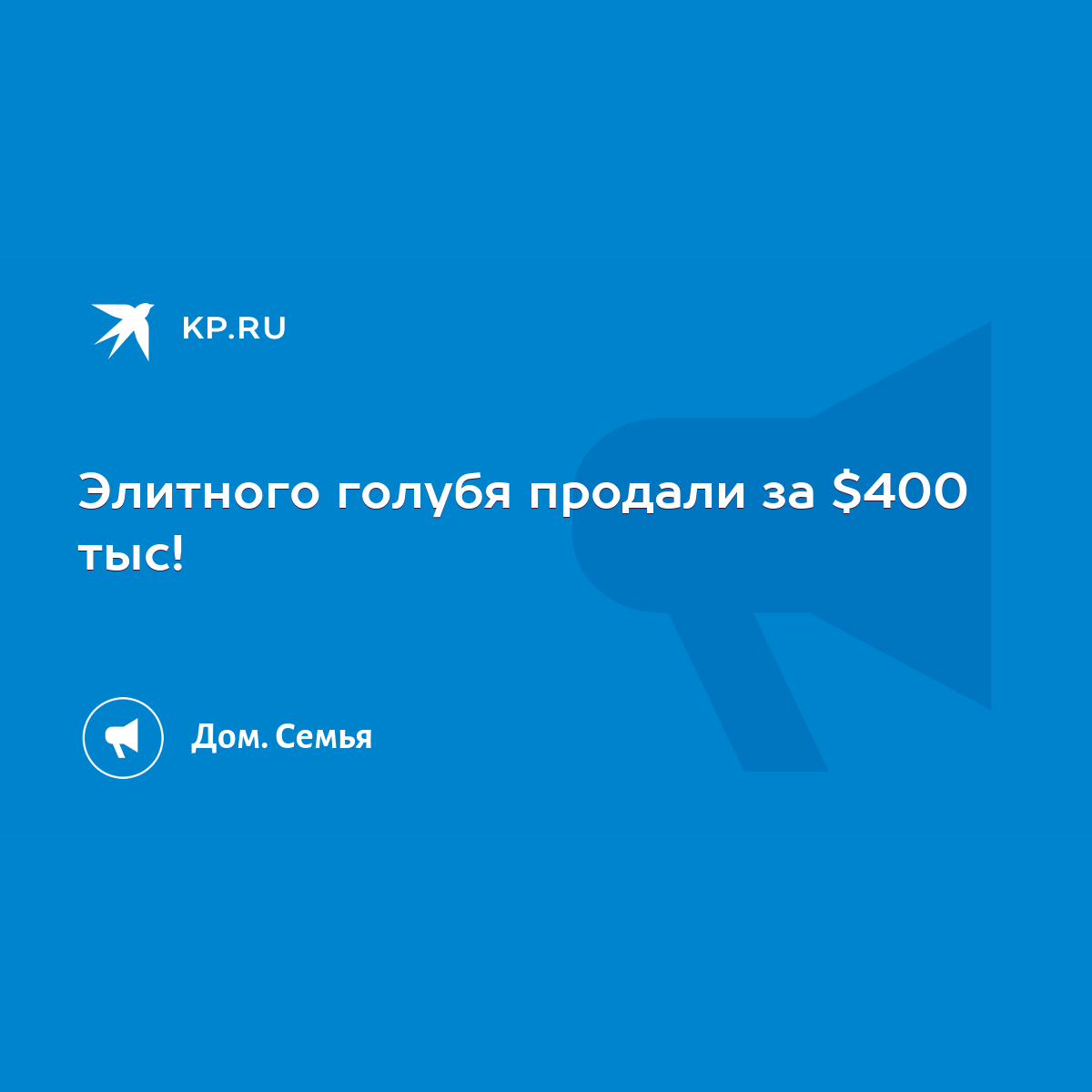 Элитного голубя продали за $400 тыс! - KP.RU