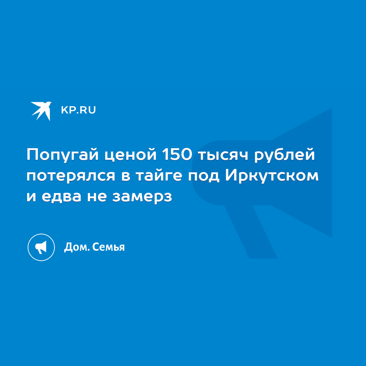 Попугай ценой 150 тысяч рублей потерялся в тайге под Иркутском и едва не  замерз - KP.RU