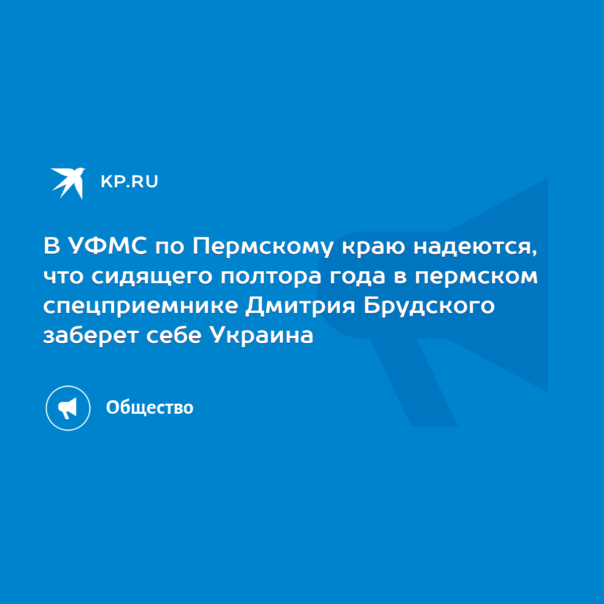 В УФМС по Пермскому краю надеются, что сидящего полтора года в пермском  спецприемнике Дмитрия Брудского заберет себе Украина - KP.RU