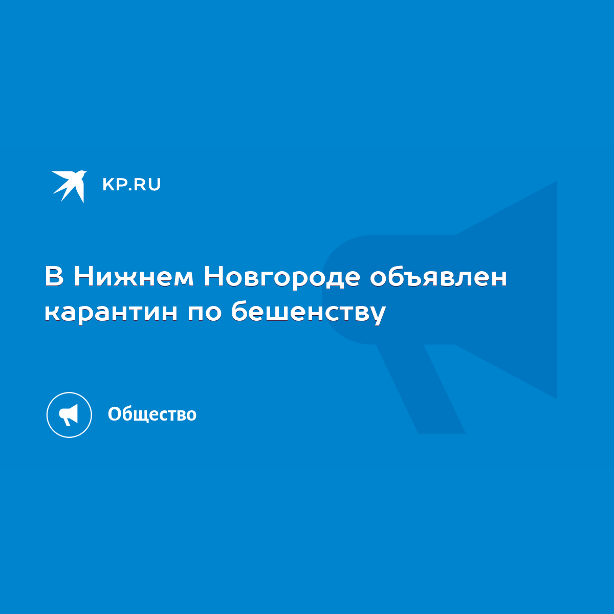 В Нижнем Новгороде объявлен карантин по бешенству - KP.RU