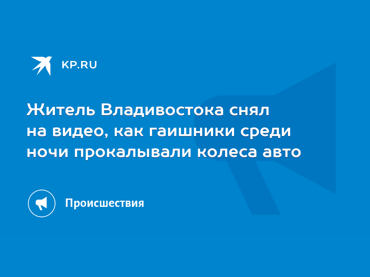 Житель Владивостока снял на видео, как гаишники среди ночи прокалывали колеса  авто - KP.RU