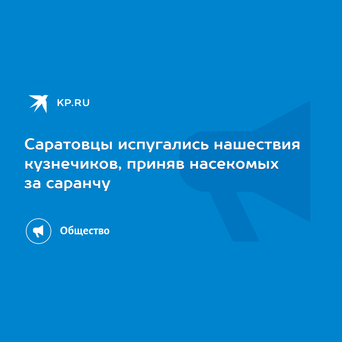 Саратовцы испугались нашествия кузнечиков, приняв насекомых за саранчу -  KP.RU