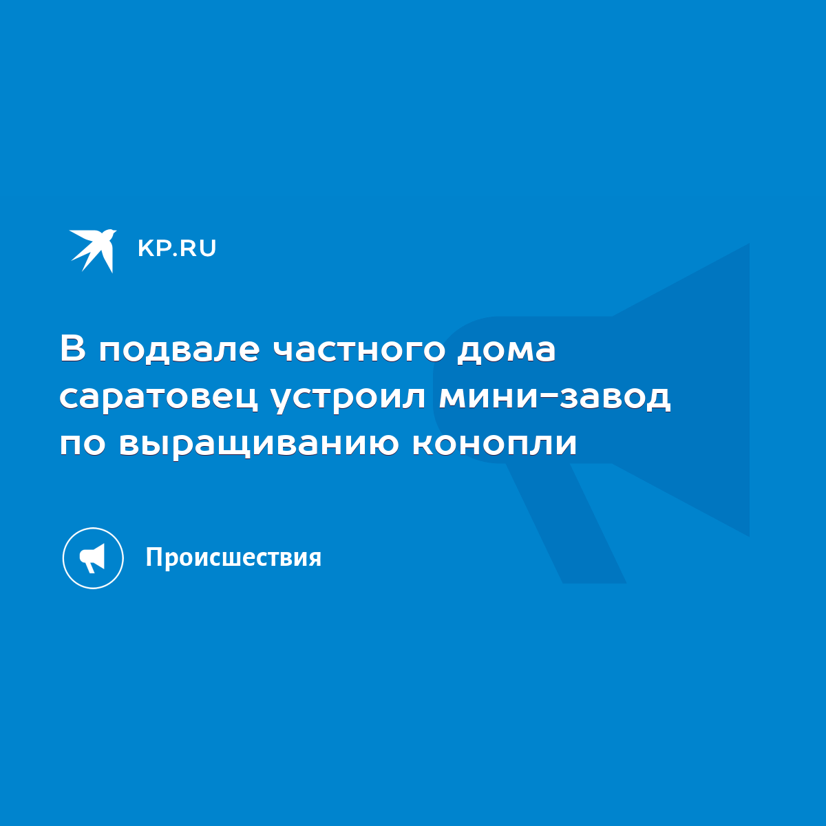 В подвале частного дома саратовец устроил мини-завод по выращиванию конопли  - KP.RU