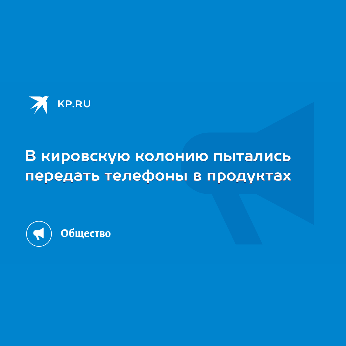 В кировскую колонию пытались передать телефоны в продуктах - KP.RU