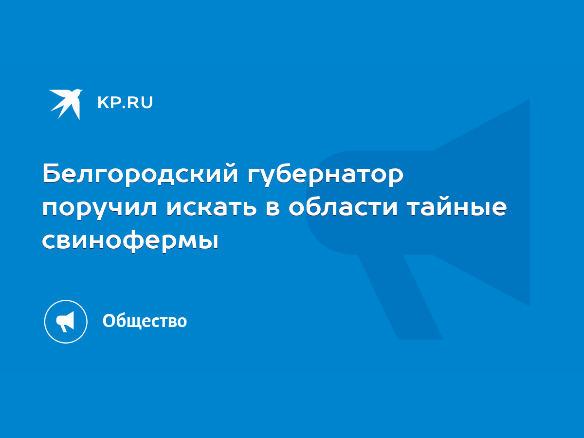 Белгородский губернатор поручил искать в области тайные свинофермы - KP.RU