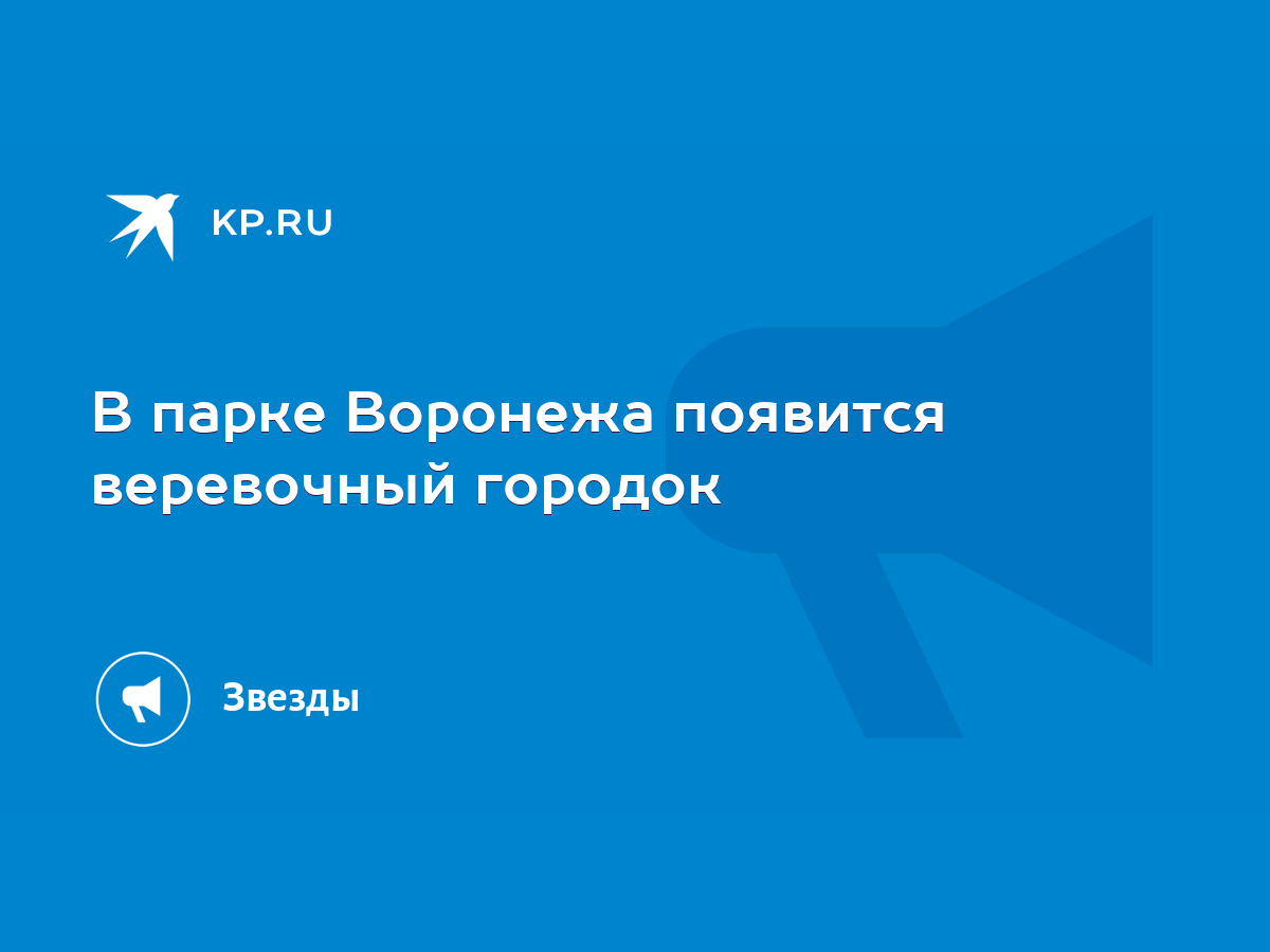 В парке Воронежа появится веревочный городок - KP.RU