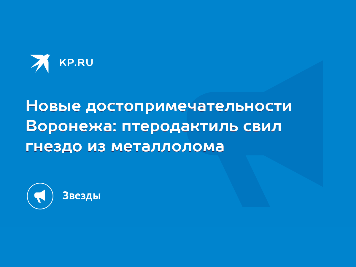 Новые достопримечательности Воронежа: птеродактиль свил гнездо из  металлолома - KP.RU