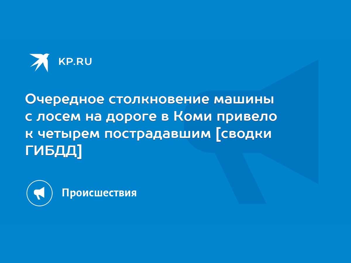 Очередное столкновение машины с лосем на дороге в Коми привело к четырем  пострадавшим [сводки ГИБДД] - KP.RU