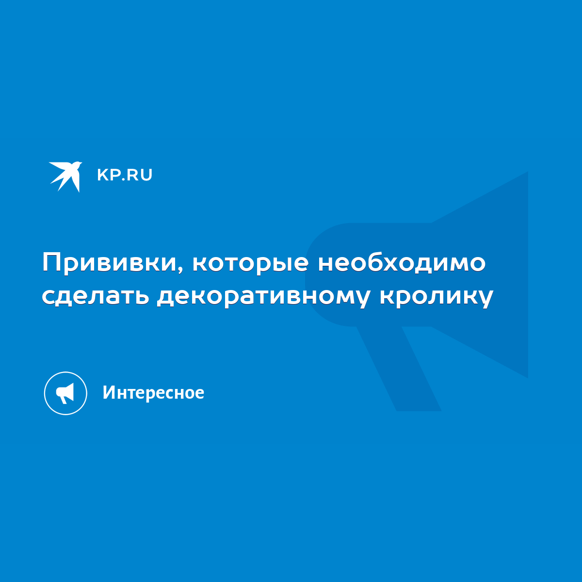 Прививки, которые необходимо сделать декоративному кролику - KP.RU