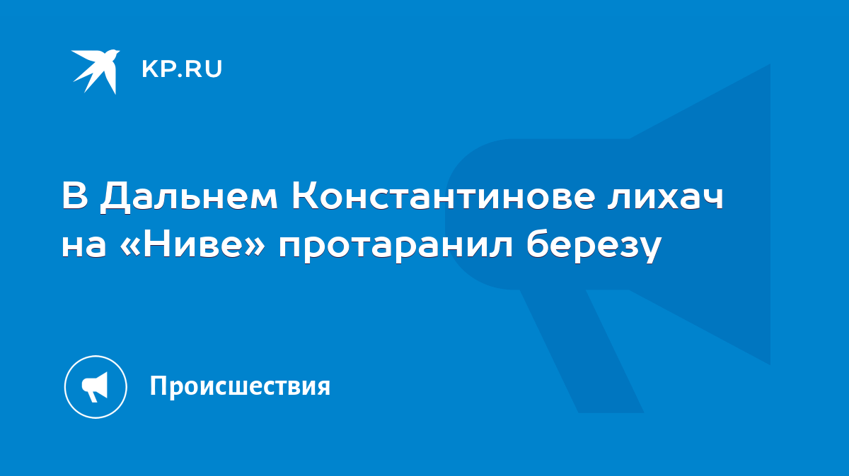 В Дальнем Константинове лихач на «Ниве» протаранил березу - KP.RU