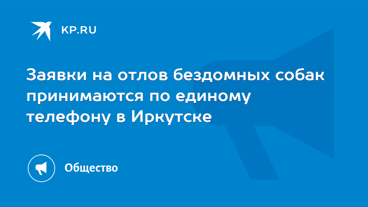 Заявки на отлов бездомных собак принимаются по единому телефону в Иркутске  - KP.RU