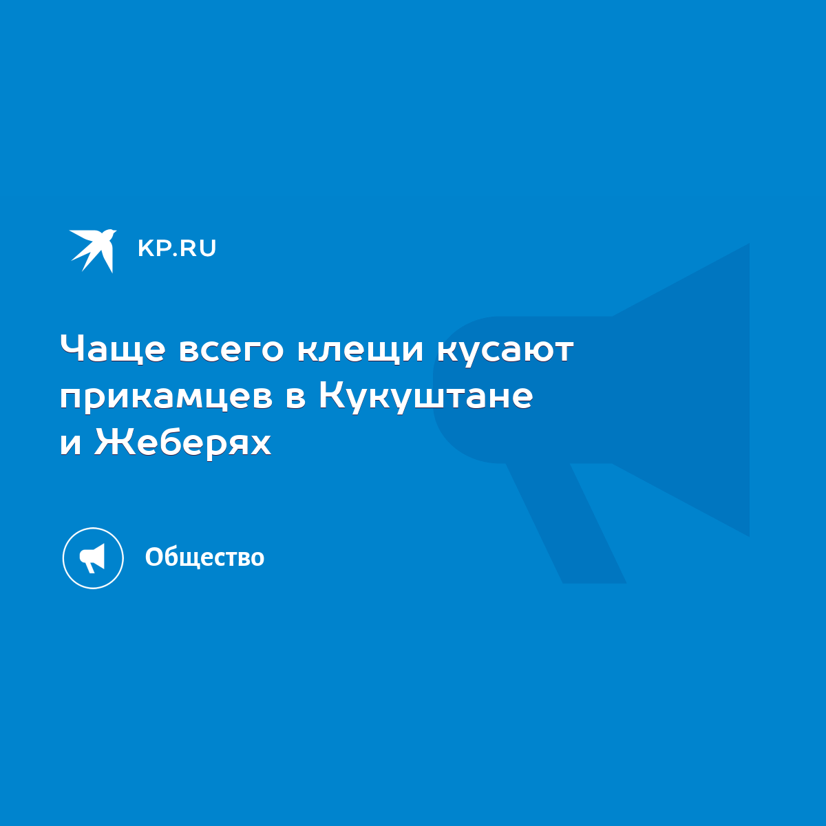 Чаще всего клещи кусают прикамцев в Кукуштане и Жеберях - KP.RU