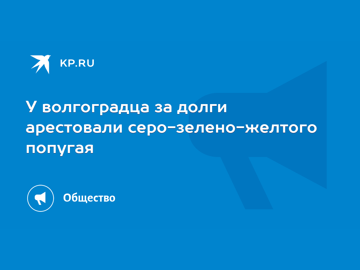 У волгоградца за долги арестовали серо-зелено-желтого попугая - KP.RU