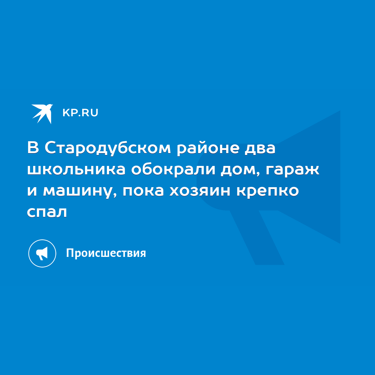 В Стародубском районе два школьника обокрали дом, гараж и машину, пока  хозяин крепко спал - KP.RU