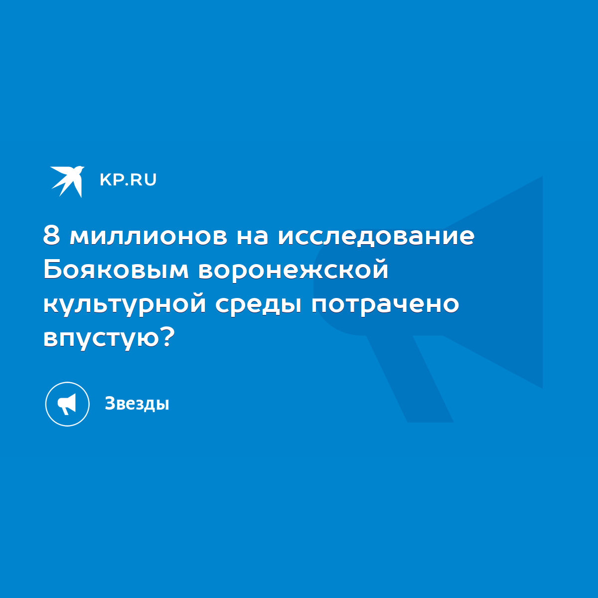 8 миллионов на исследование Бояковым воронежской культурной среды потрачено  впустую? - KP.RU