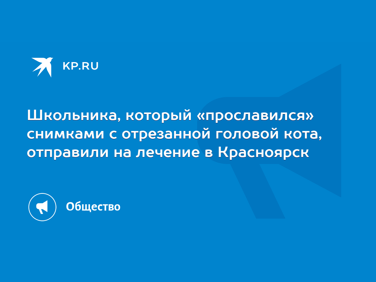 Школьника, который «прославился» снимками с отрезанной головой кота,  отправили на лечение в Красноярск - KP.RU