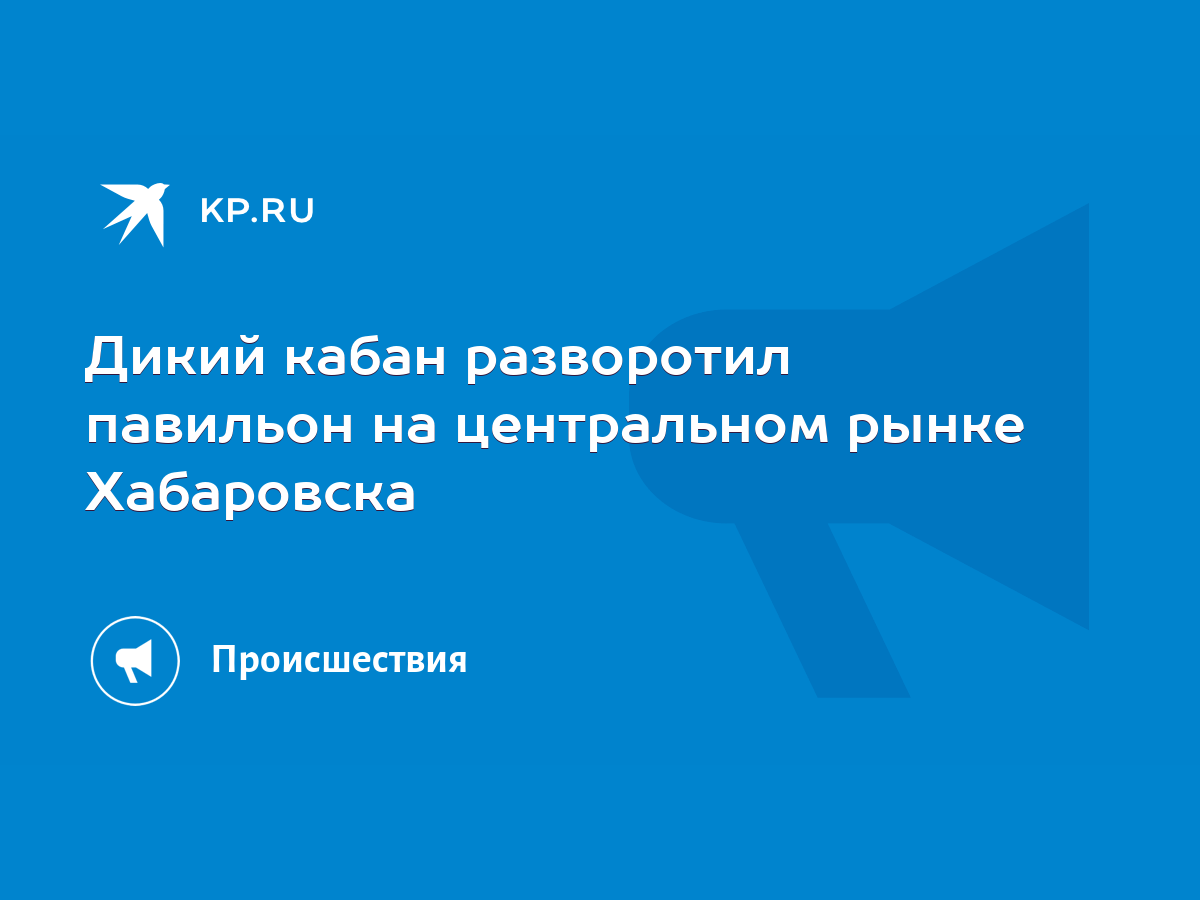 Дикий кабан разворотил павильон на центральном рынке Хабаровска - KP.RU