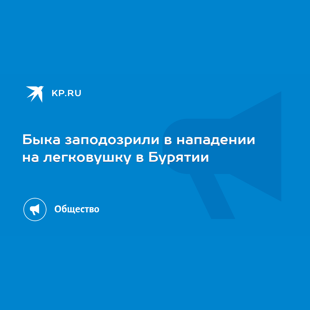 Быка заподозрили в нападении на легковушку в Бурятии - KP.RU