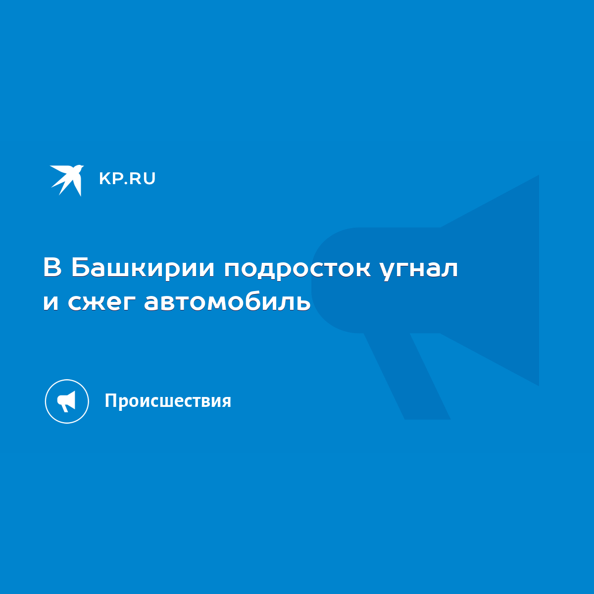 В Башкирии подросток угнал и сжег автомобиль - KP.RU