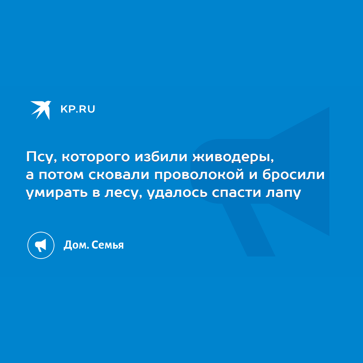 Псу, которого избили живодеры, а потом сковали проволокой и бросили умирать  в лесу, удалось спасти лапу - KP.RU