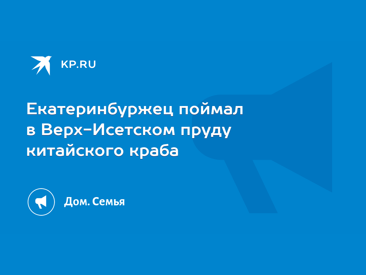 Екатеринбуржец поймал в Верх-Исетском пруду китайского краба - KP.RU