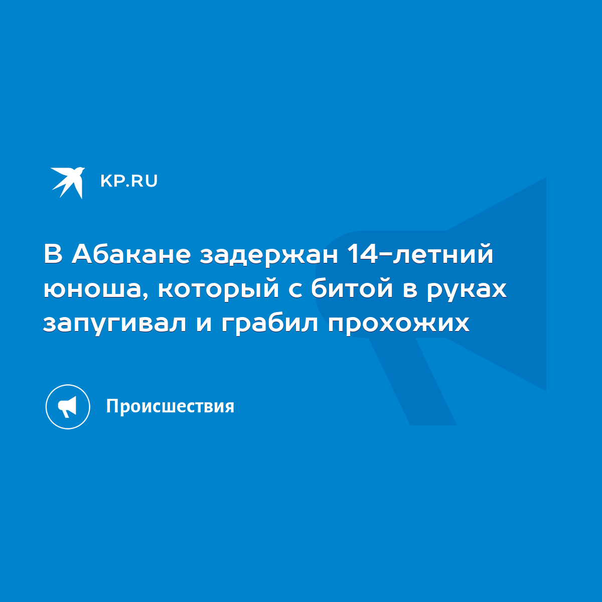 В Абакане задержан 14-летний юноша, который с битой в руках запугивал и  грабил прохожих - KP.RU