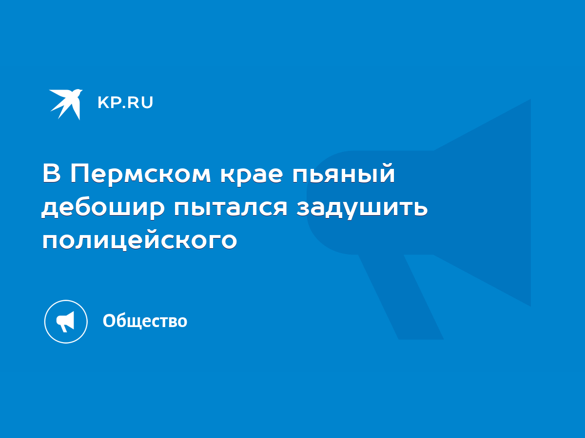 В Пермском крае пьяный дебошир пытался задушить полицейского - KP.RU