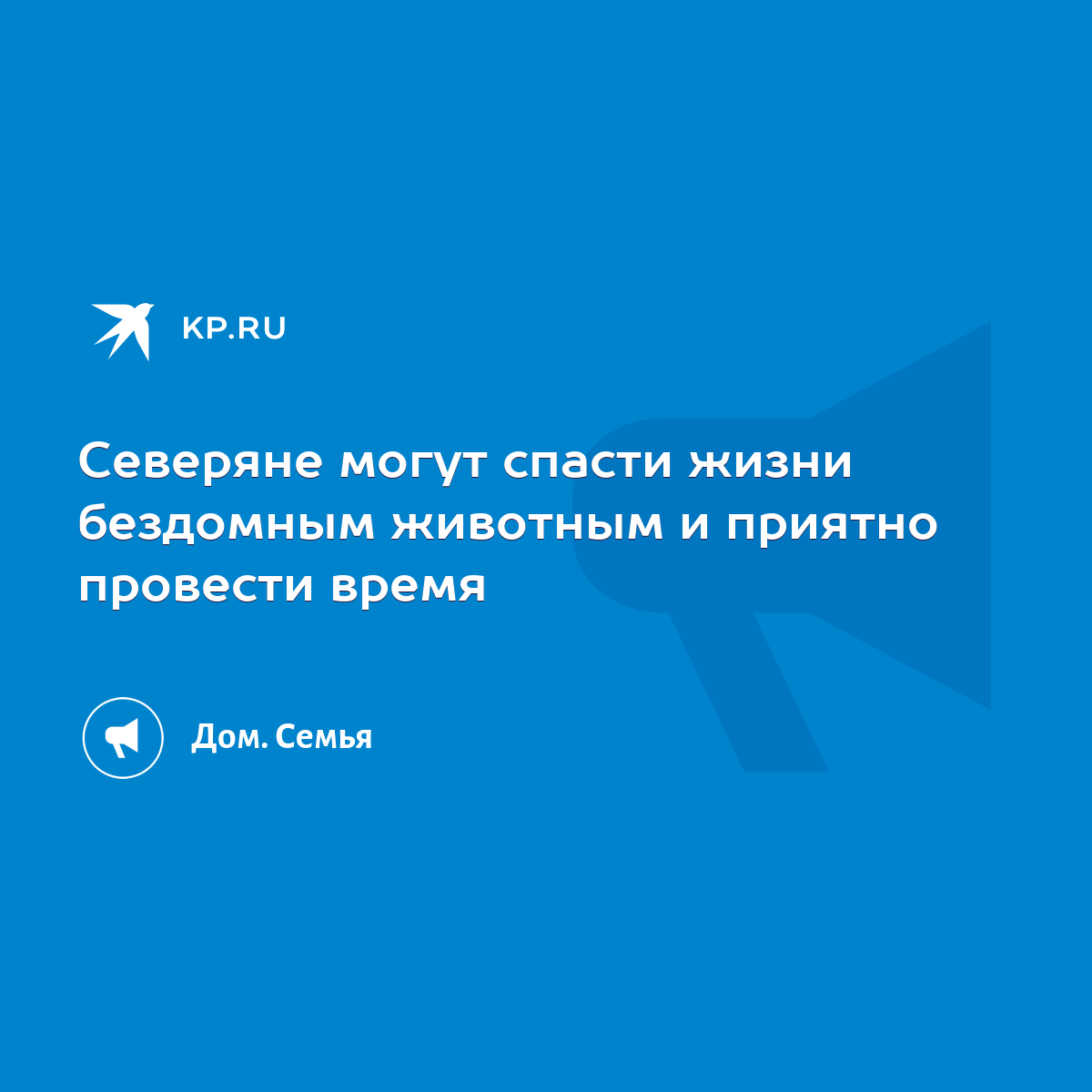 Северяне могут спасти жизни бездомным животным и приятно провести время -  KP.RU