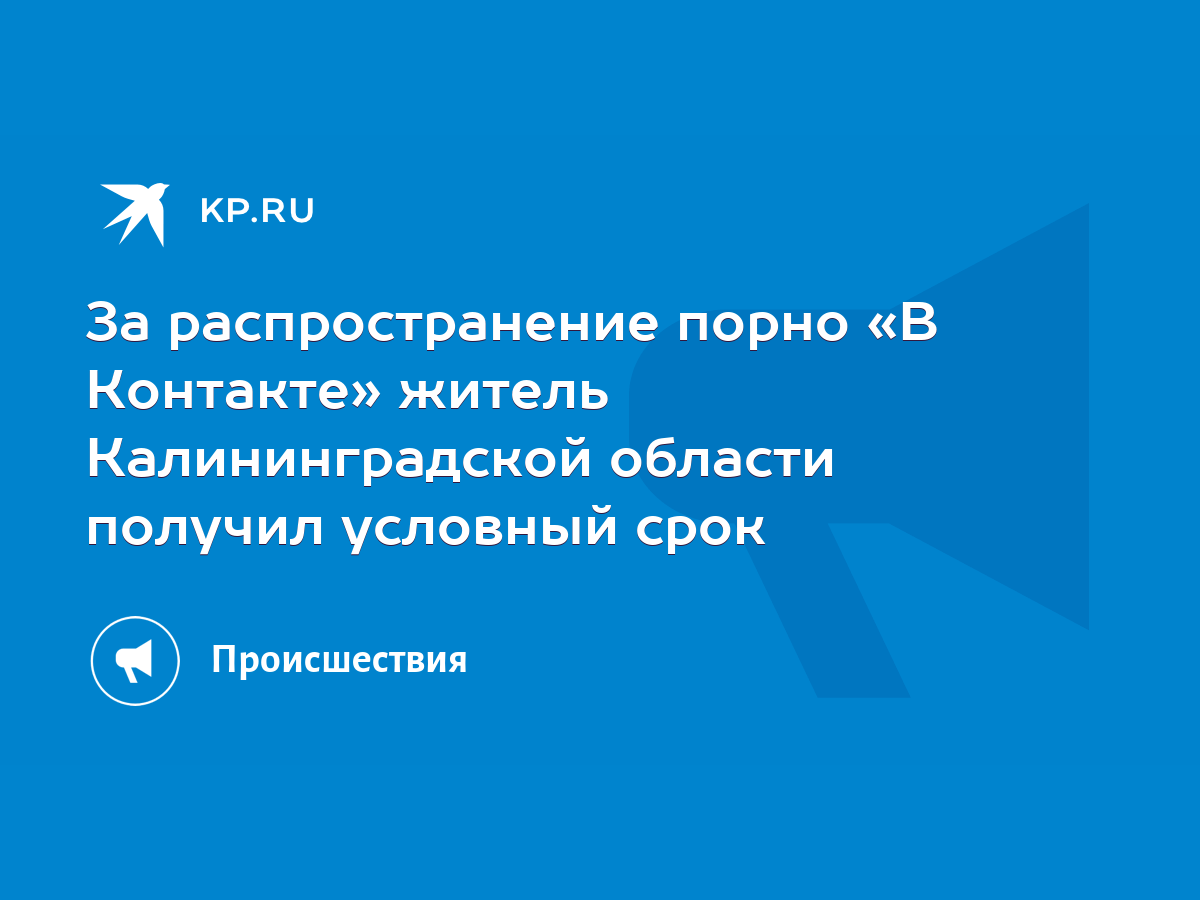 За распространение порно «В Контакте» житель Калининградской области  получил условный срок - KP.RU