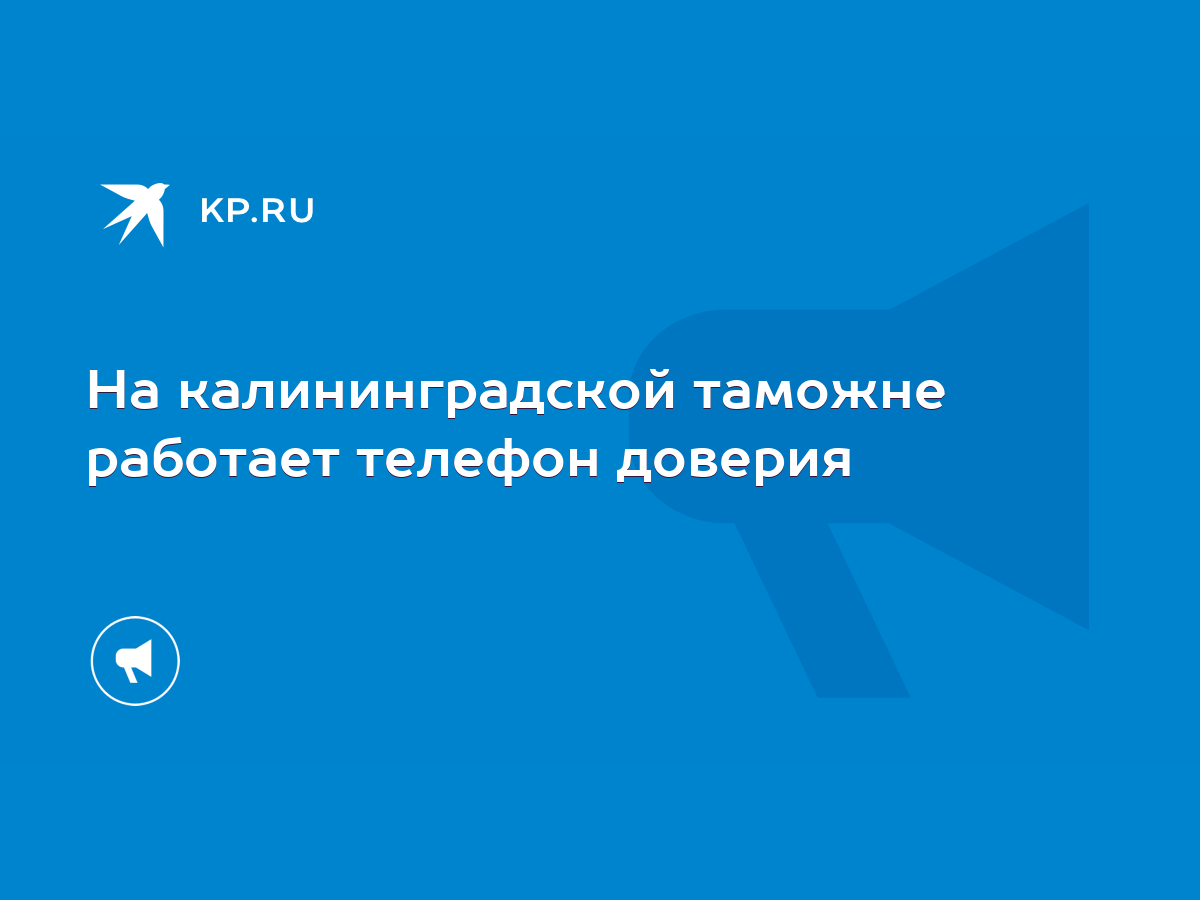 На калининградской таможне работает телефон доверия - KP.RU