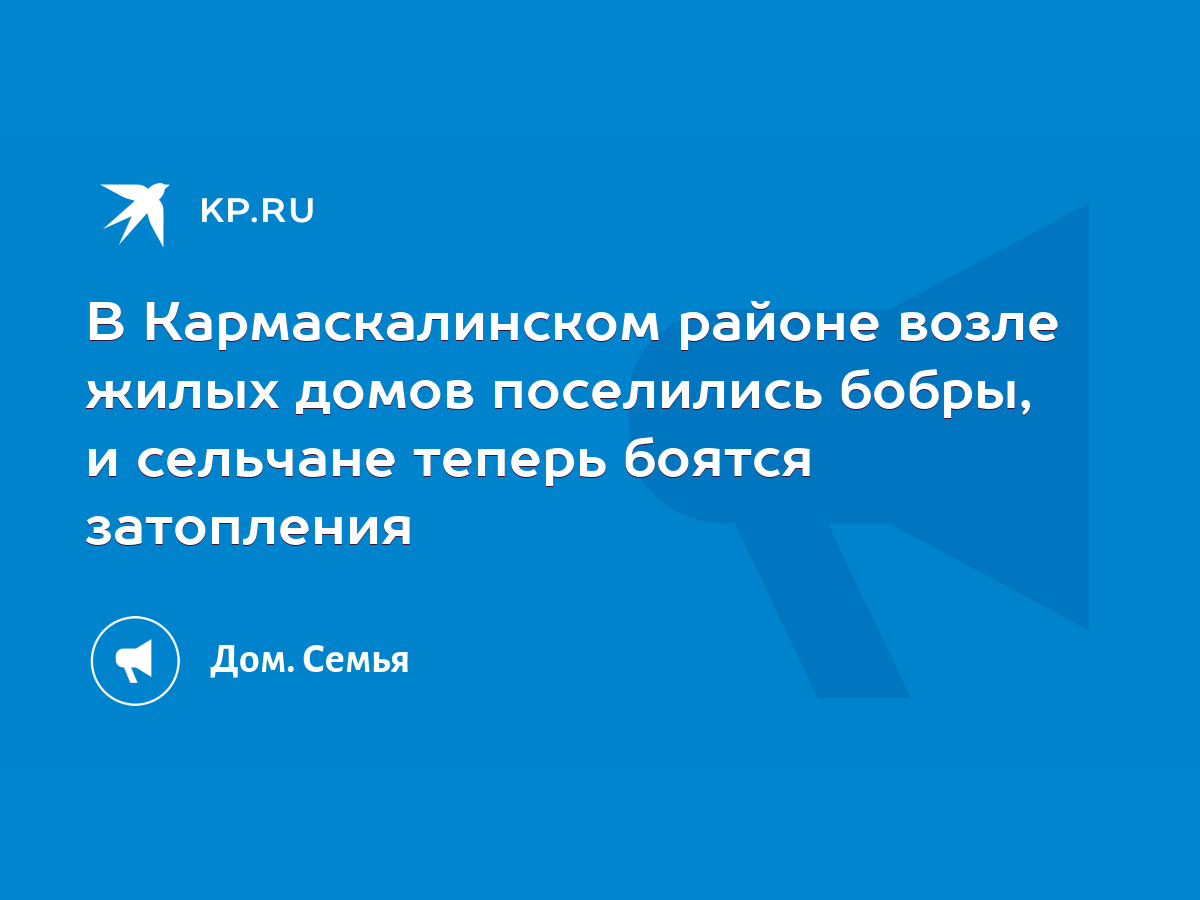 В Кармаскалинском районе возле жилых домов поселились бобры, и сельчане  теперь боятся затопления - KP.RU