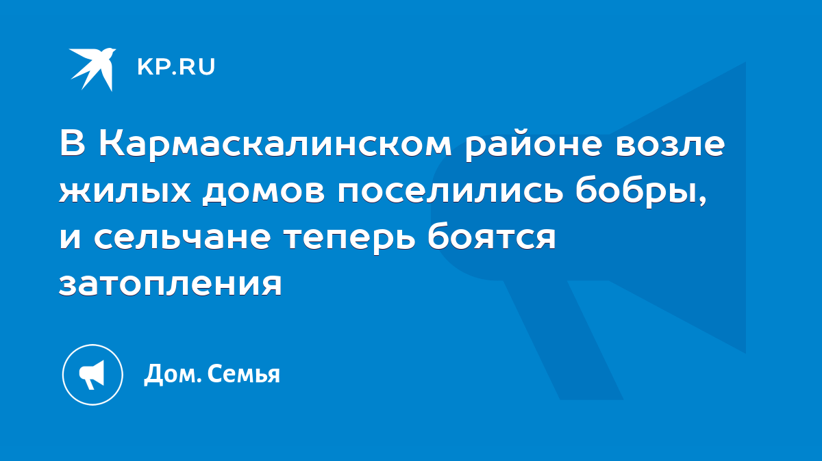 В Кармаскалинском районе возле жилых домов поселились бобры, и сельчане  теперь боятся затопления - KP.RU