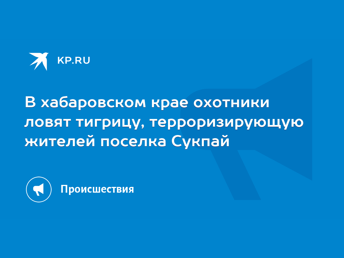 В хабаровском крае охотники ловят тигрицу, терроризирующую жителей поселка  Сукпай - KP.RU