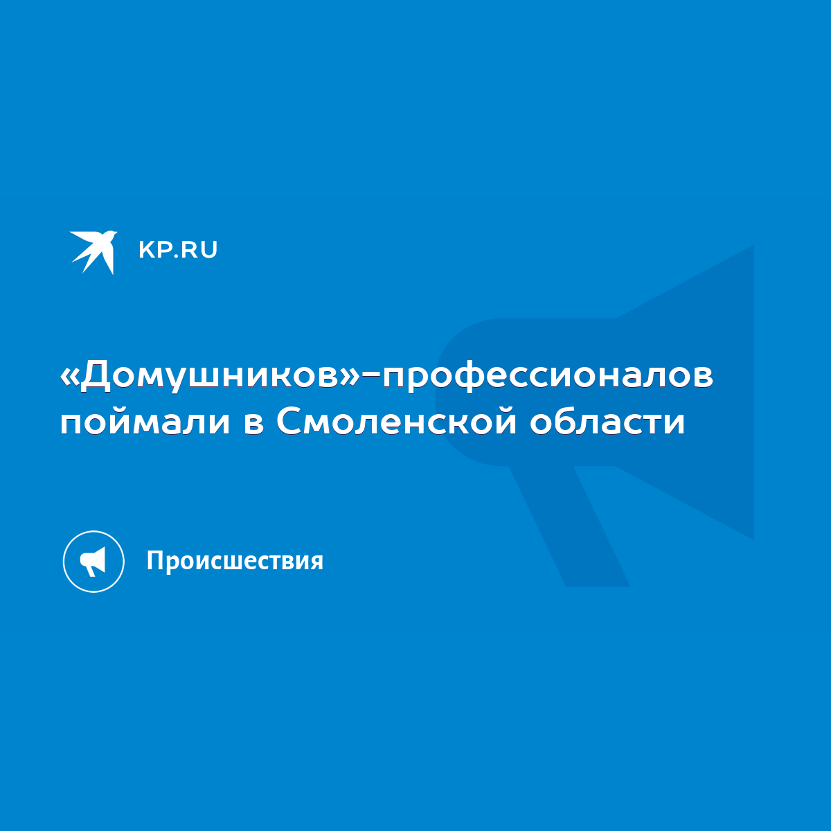 Домушников»-профессионалов поймали в Смоленской области - KP.RU