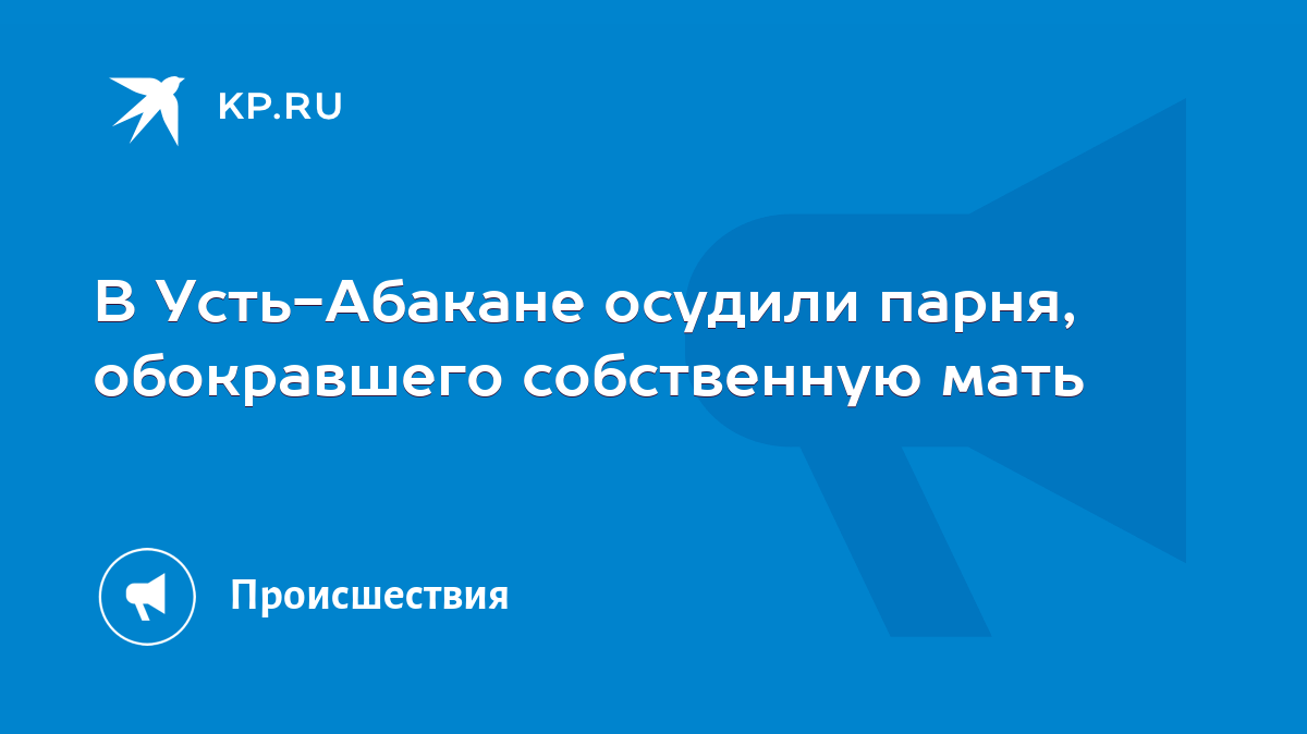 В Усть-Абакане осудили парня, обокравшего собственную мать - KP.RU