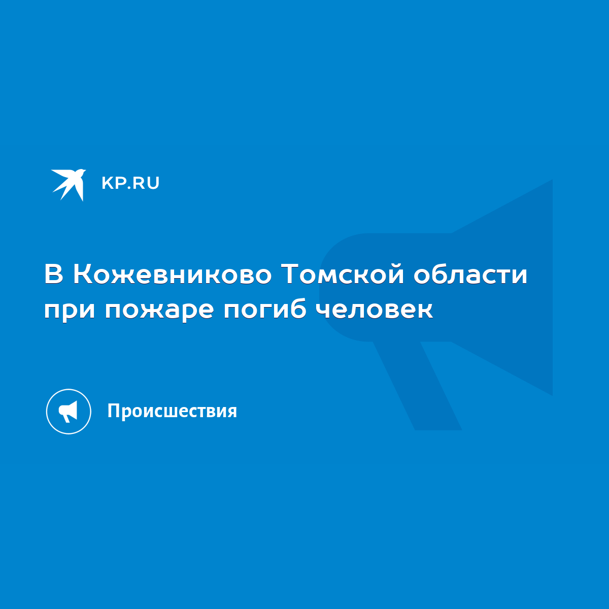 В Кожевниково Томской области при пожаре погиб человек - KP.RU